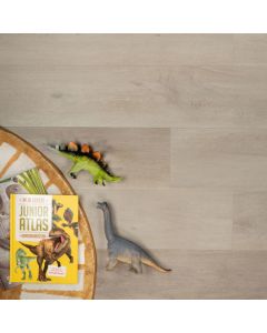 Douwes Dekker Ambitieus Riante Plank Pepermunt Rigid Click PVC 04851
