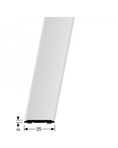Dilatatieprofiel zelfklevend 25mm Zilver Geborsteld 300cm - 41821