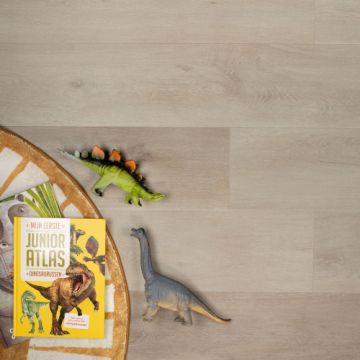 Douwes Dekker Ambitieus Riante Plank Pepermunt 04851 Rigid Click PVC