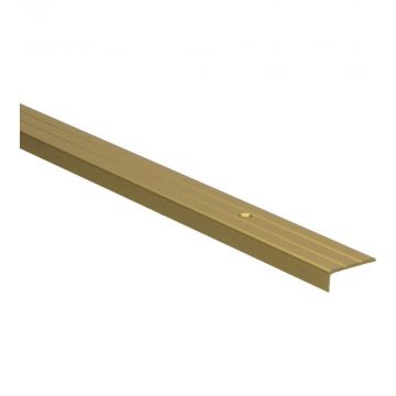 Hoeklijnprofiel schroef 10mm Goud 270cm - 69126