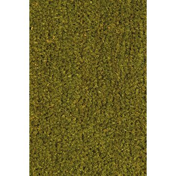 Deurmat Kokos 100cm Groen - 911013-1