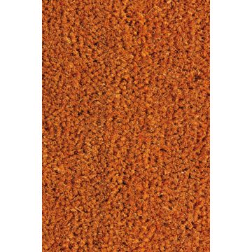 Deurmat Kokos 200cm MaÏs - 912018-1