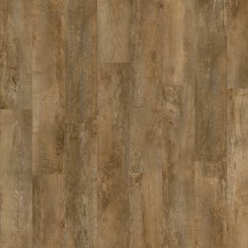 Moduleo Roots 40 Wood Country Oak 24842 PVC 