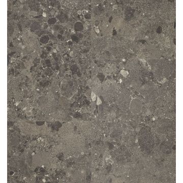 BerryAlloc Pure Terrazzo dark grey 60001591 Rigid Core Click PVC Tegel