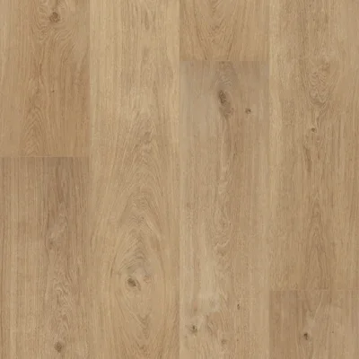 F019 Cognac Topshot Crop Rgb