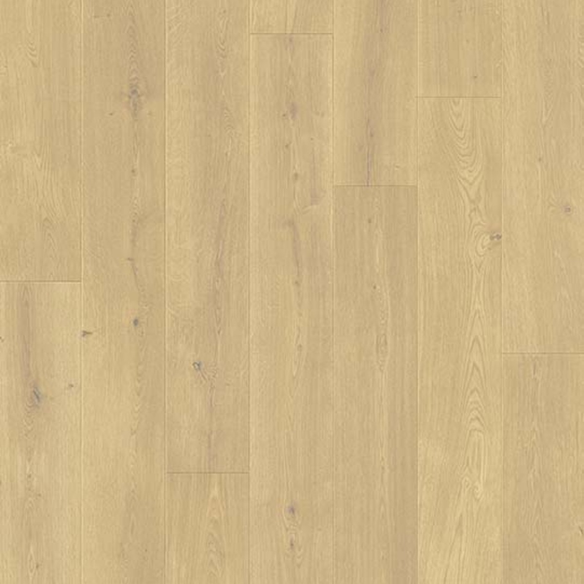 Beautifloor Laminaat Seattle Woodland 40094204